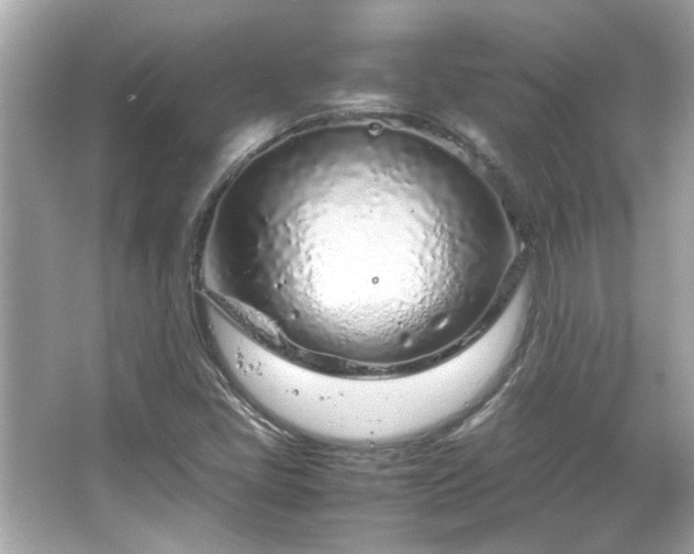 X0000066101405200603131218