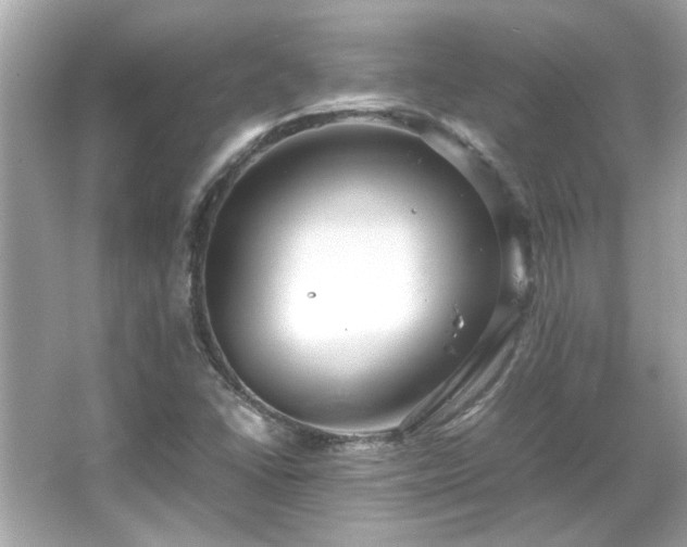 X0000066101406200603131218