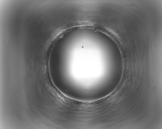 X0000066101407200603131218