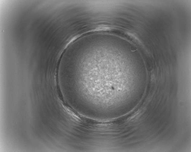 X0000066101409200603131218