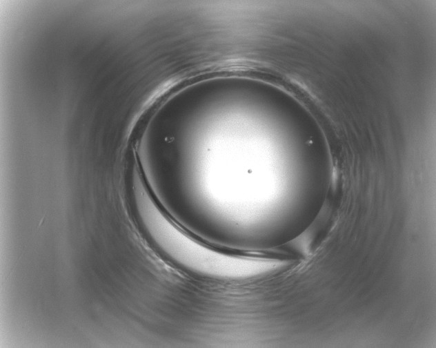 X0000066101410200603131218