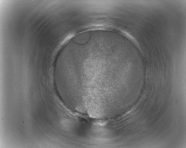 X0000066101411200603131218