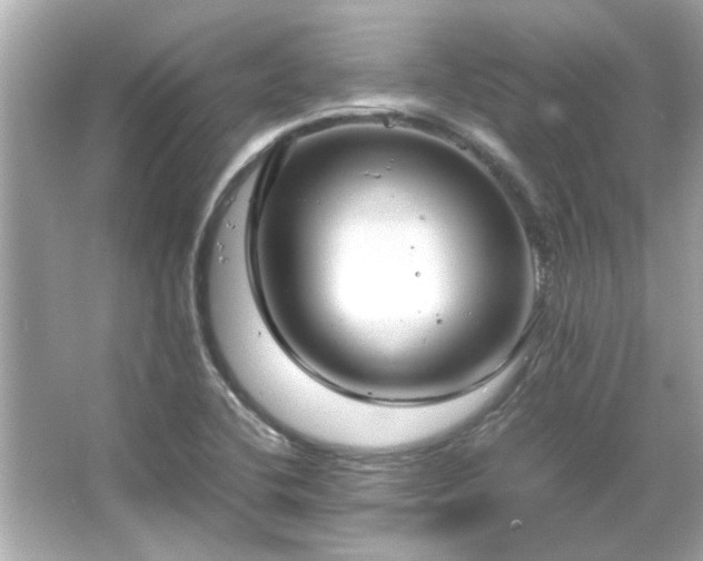 X0000066101412200603131218