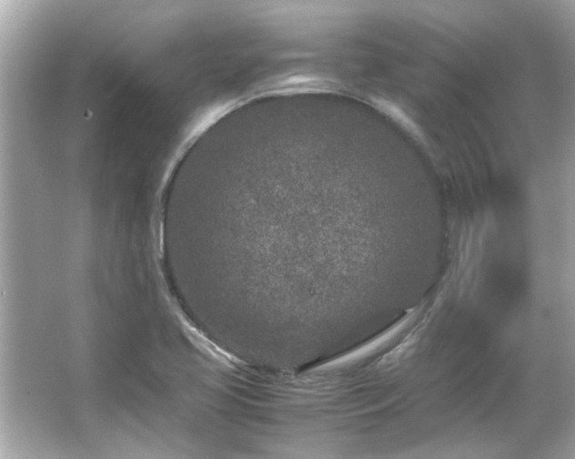 X0000066101413200603131218