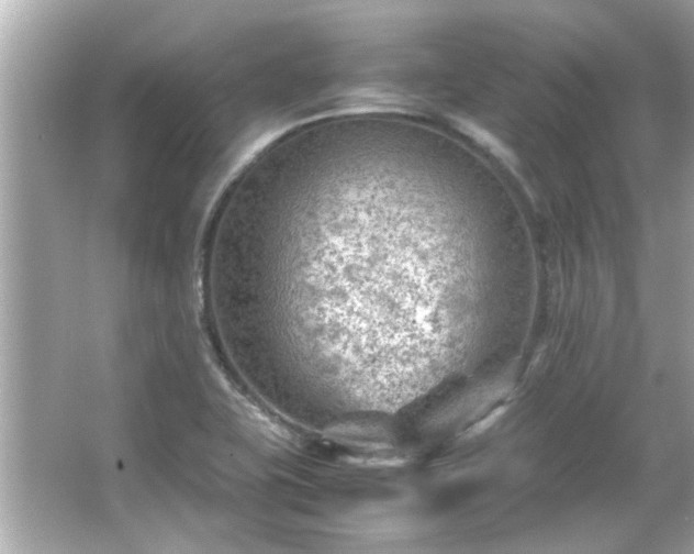 X0000066101415200603131218