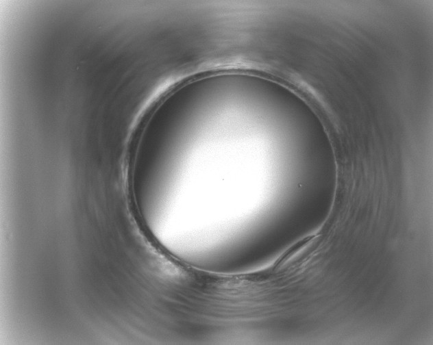 X0000066101416200603131218