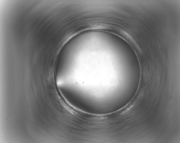 X0000066101417200603131218