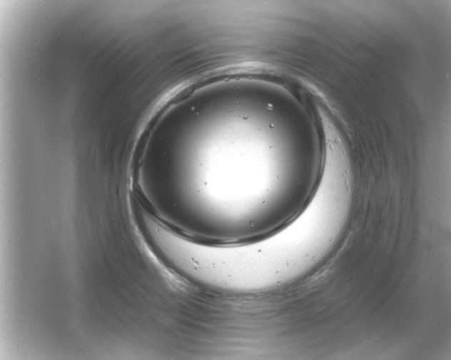 X0000066101418200603131218