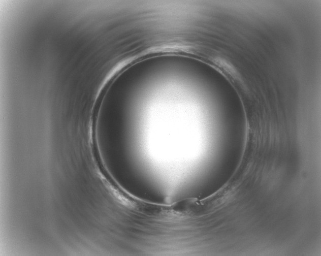 X0000066101420200603131218