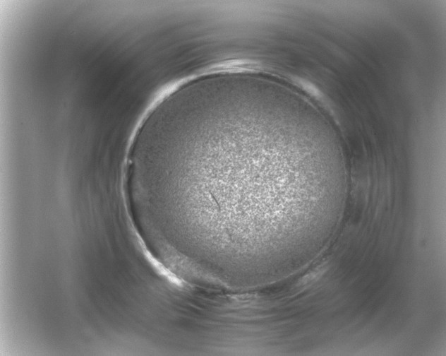 X0000066101421200603131218