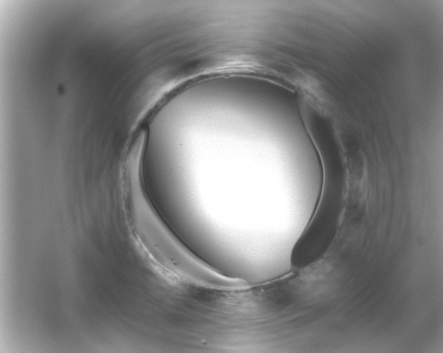 X0000066101422200603131218