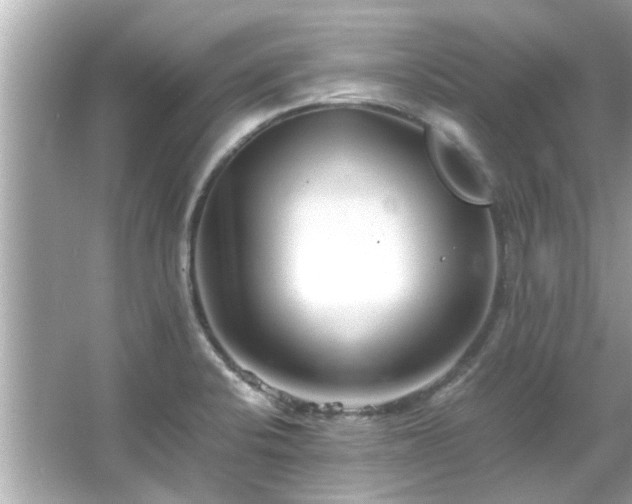 X0000066101424200603131218