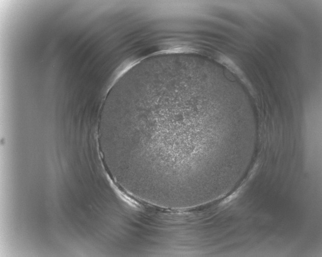 X0000066101425200603131218