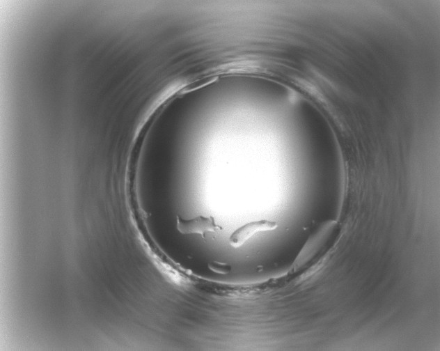 X0000066101426200603131218