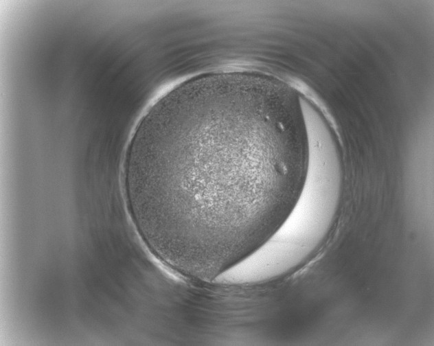 X0000066101429200603131218