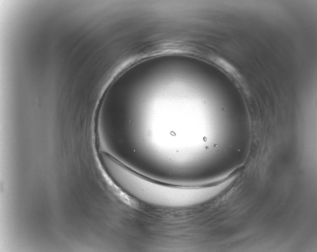 X0000066101431200603131218