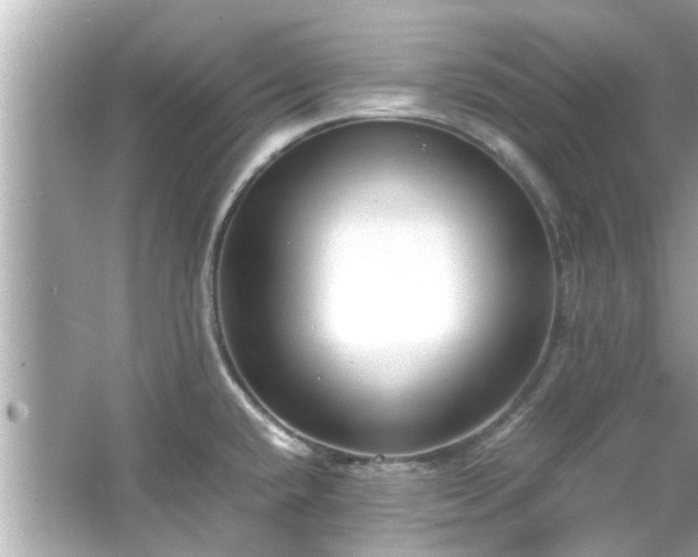 X0000066101432200603131218