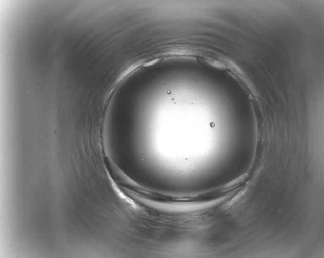 X0000066101433200603131218