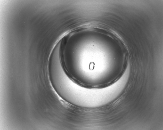 X0000066101434200603131218