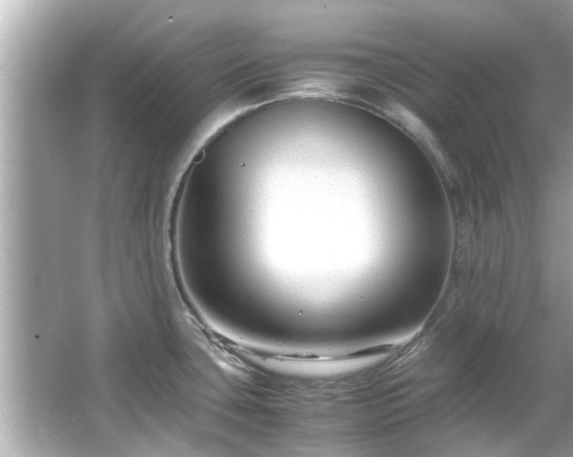 X0000066101435200603131218