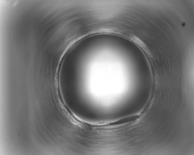 X0000066101436200603131218