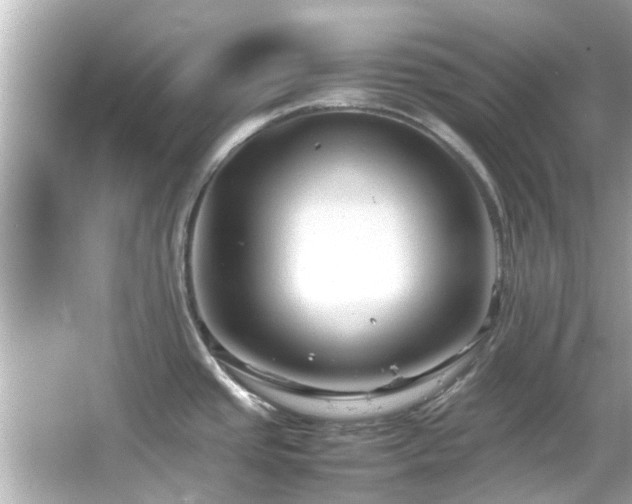 X0000066101437200603131218