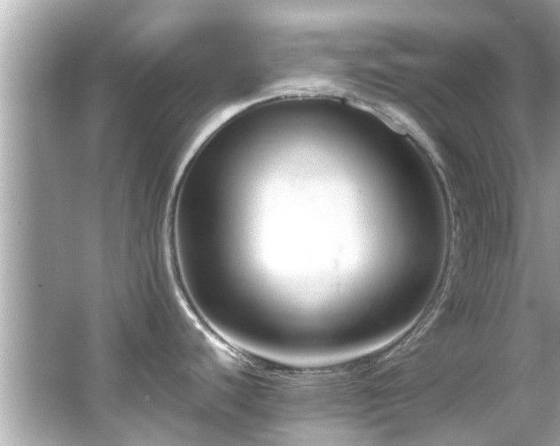 X0000066101440200603131218