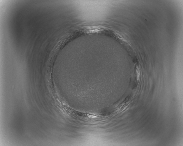 X0000066101441200603131217