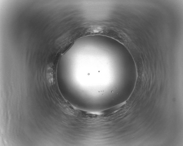 X0000066101442200603131217