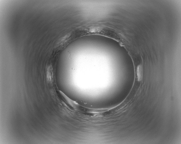 X0000066101443200603131217