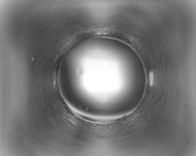 X0000066101444200603131217