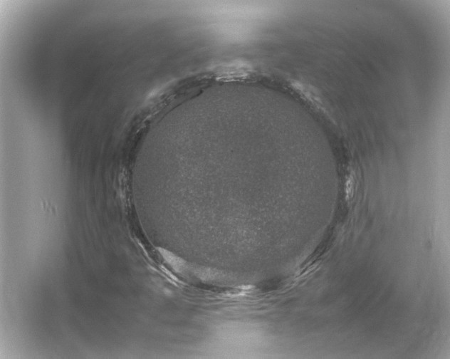 X0000066101445200603131217