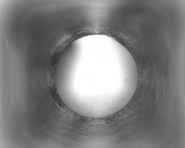 X0000066101446200603131217