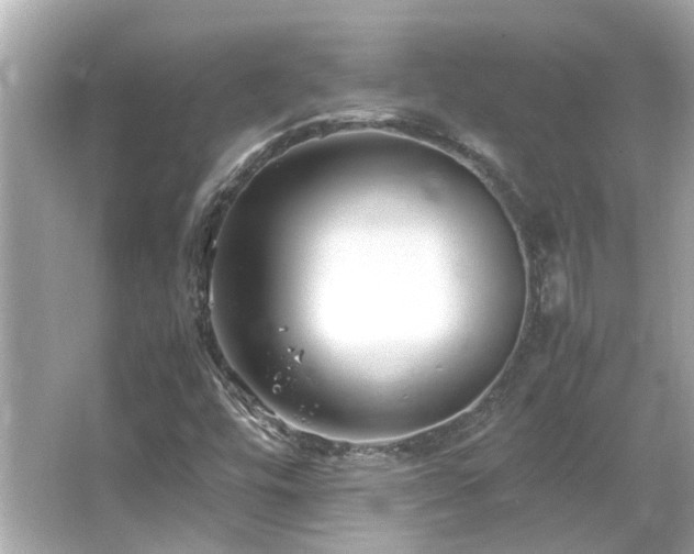 X0000066101448200603131217