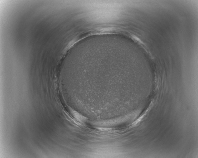 X0000066101449200603131217