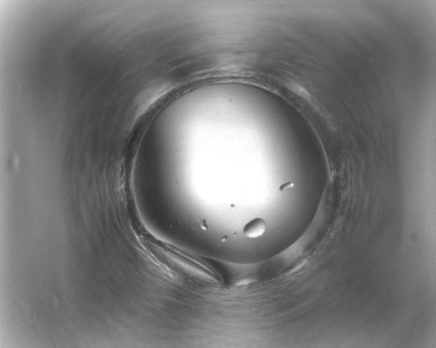 X0000066101450200603131217