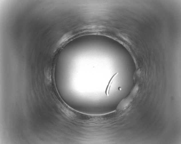 X0000066101451200603131217