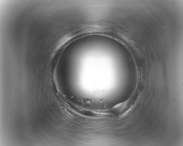 X0000066101453200603131217