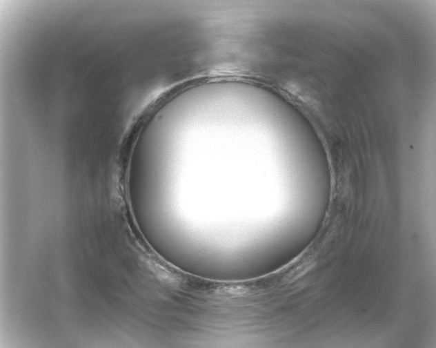 X0000066101454200603131217