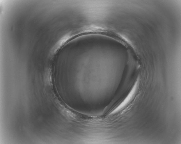 X0000066101455200603131217