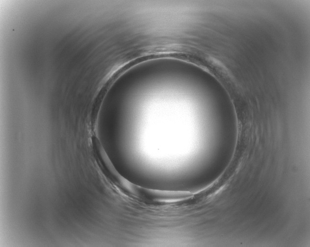 X0000066101457200603131217