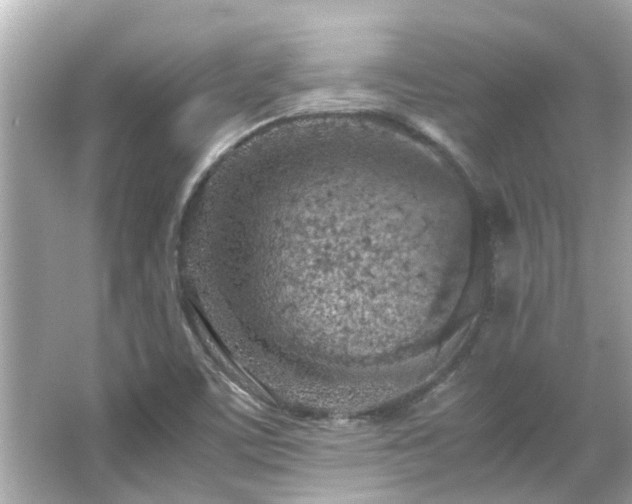 X0000066101459200603131217