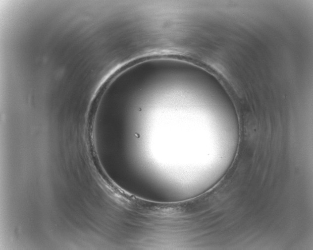 X0000066101460200603131217