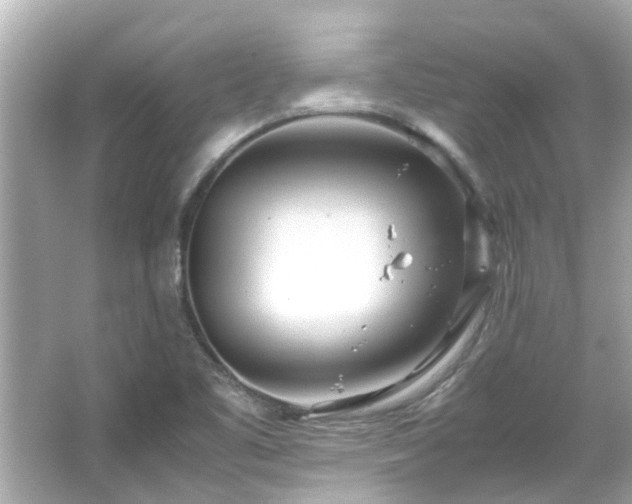 X0000066101461200603131217