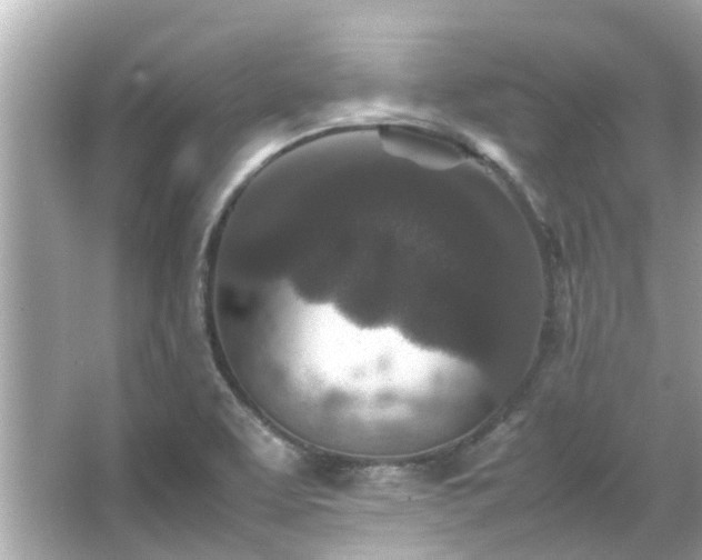 X0000066101463200603131217