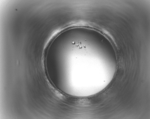 X0000066101464200603131217