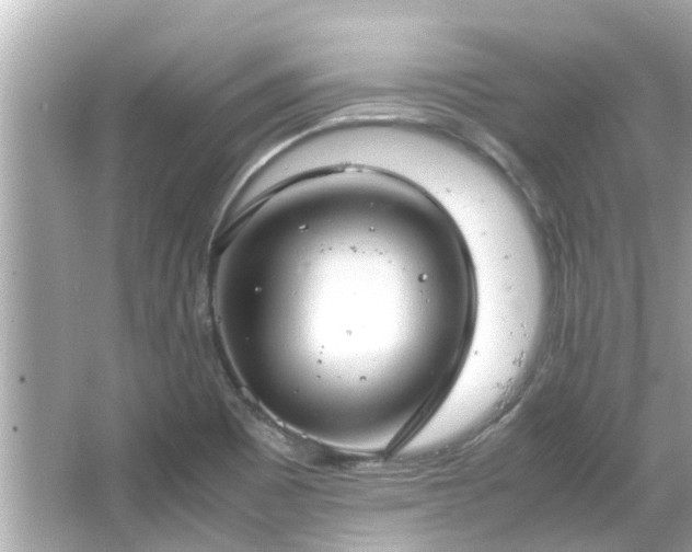 X0000066101465200603131217