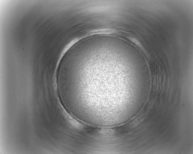 X0000066101466200603131217