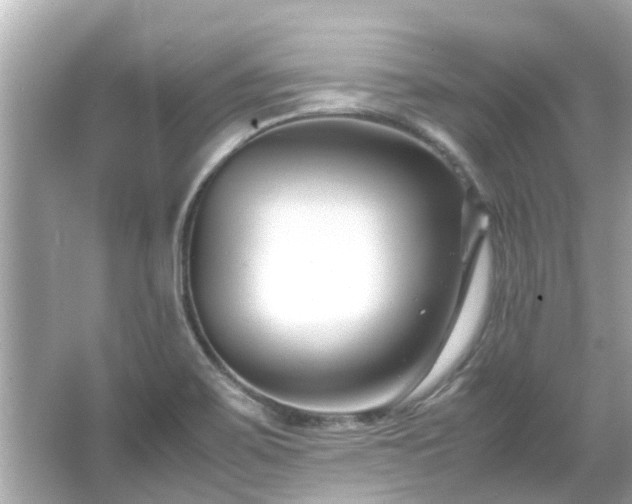 X0000066101467200603131217