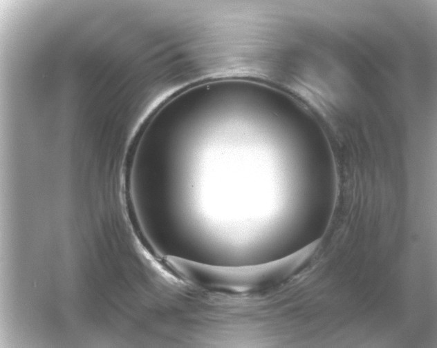 X0000066101468200603131217